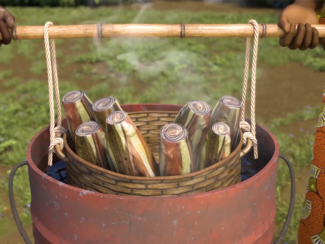 Preparing Banana and Plantain Suckers for Planting to Reduce Pests and Increase Yield and Stem Trapping to Control Weevils