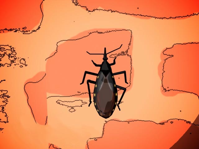Prevention of Chagas Disease