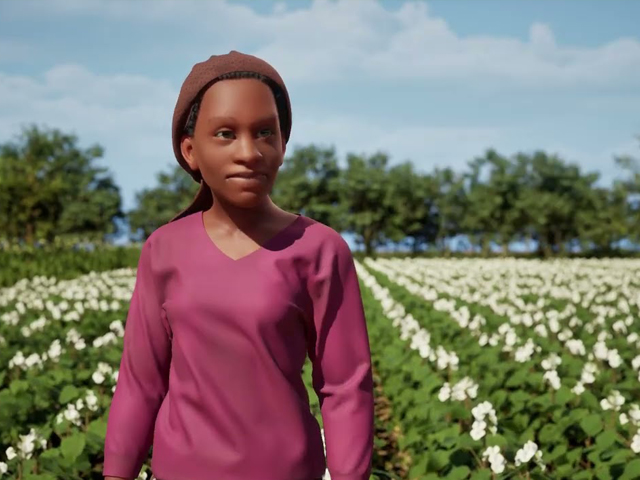 Climate services for beans - definitions