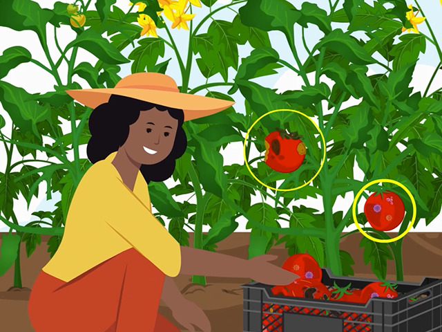 How to control germs from animals on the farm