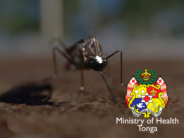Dengue Prevention: Variant for Tonga