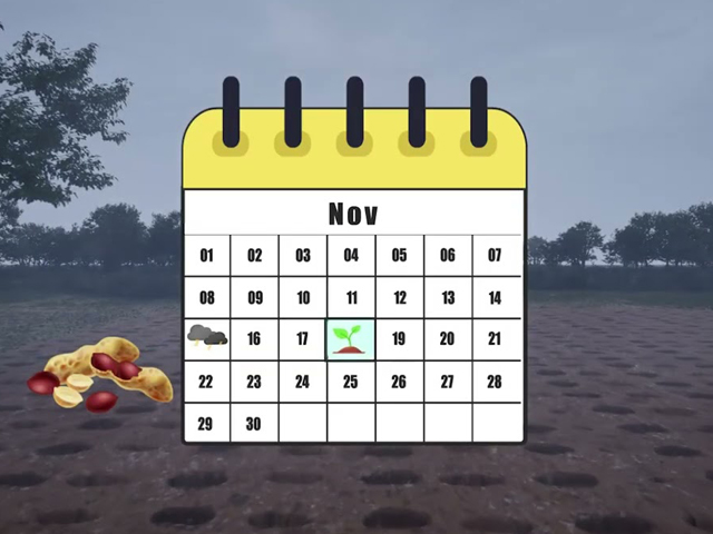 When to plant your crops in basins for the best yields