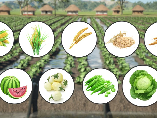 Water management – Equipment for your farm